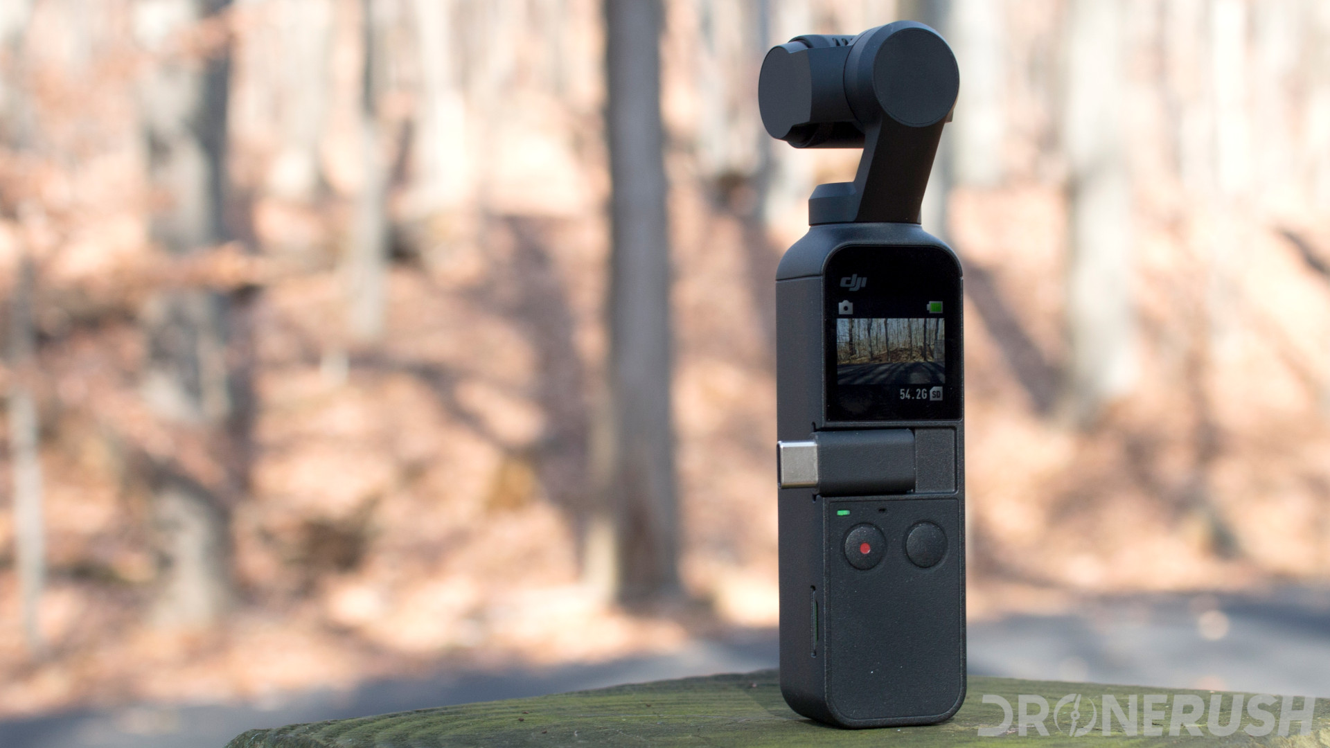 The DJI Osmo Pocket photographed in a forest.